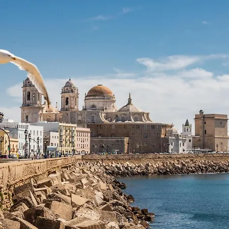 Colon By Time * Cadiz