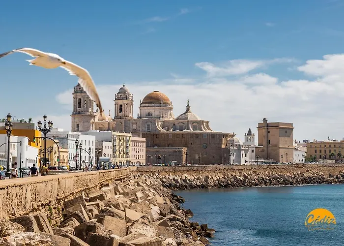 Colon By Time * Cadiz